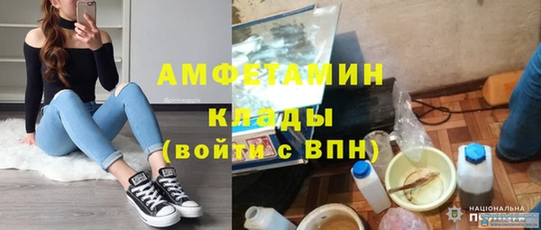 шишки Алзамай
