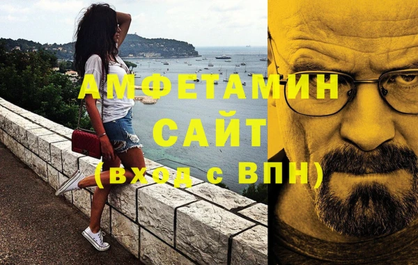 шишки Алзамай