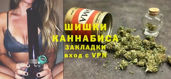 шишки Алзамай