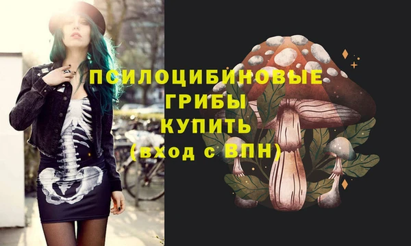 соль курить ск Алексин