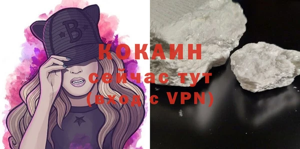 твердый Алексеевка